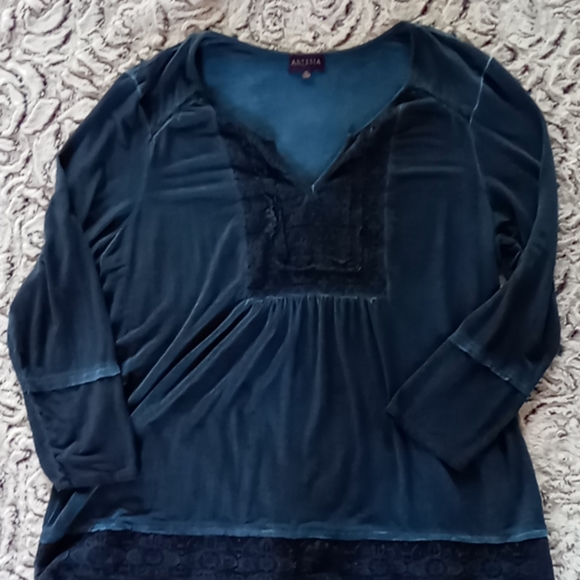 Gorgeous Blue Lace Tunic - Picture 1 of 7